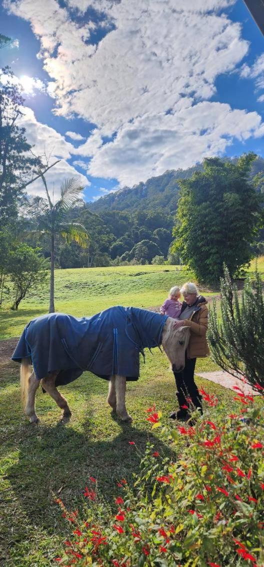 Nimbin Waterfall Retreat Extérieur photo
